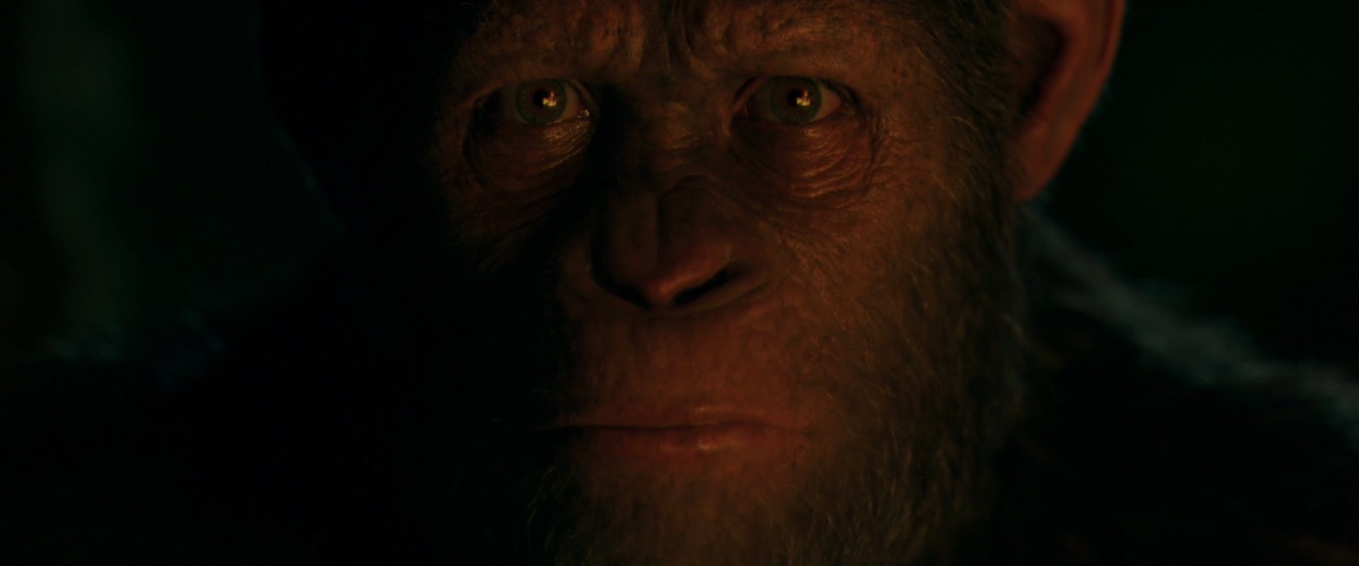 War for the Planet of the Apes (2017) movie still 4399