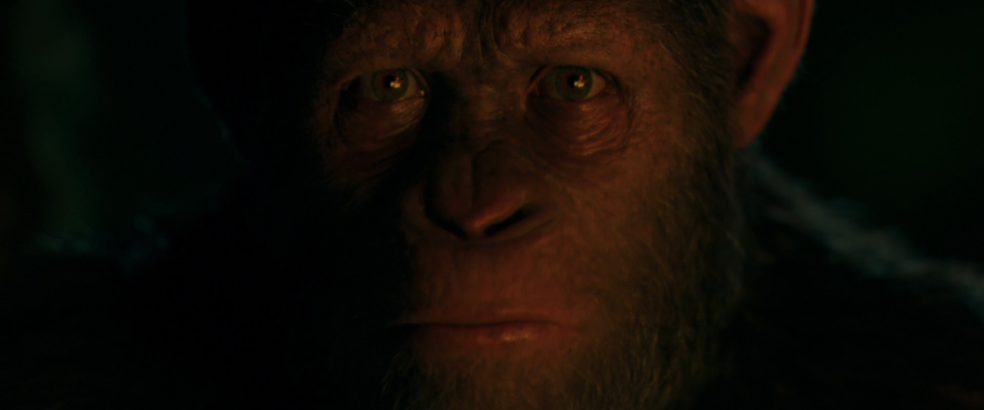 War for the Planet of the Apes (2017) HD screenshot 4400