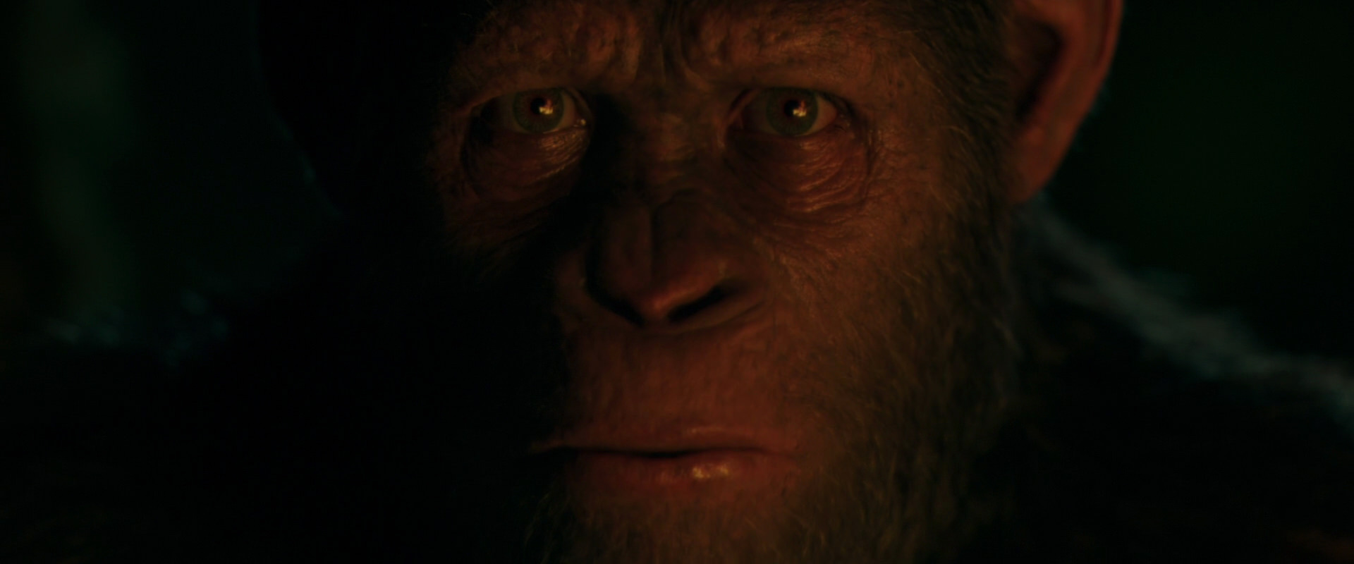 War for the Planet of the Apes (2017) screencap 4401