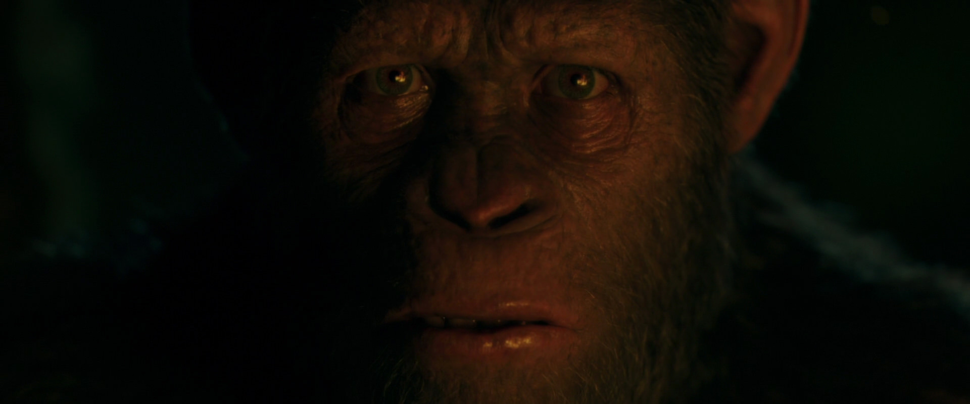 War for the Planet of the Apes (2017) movie still 4402