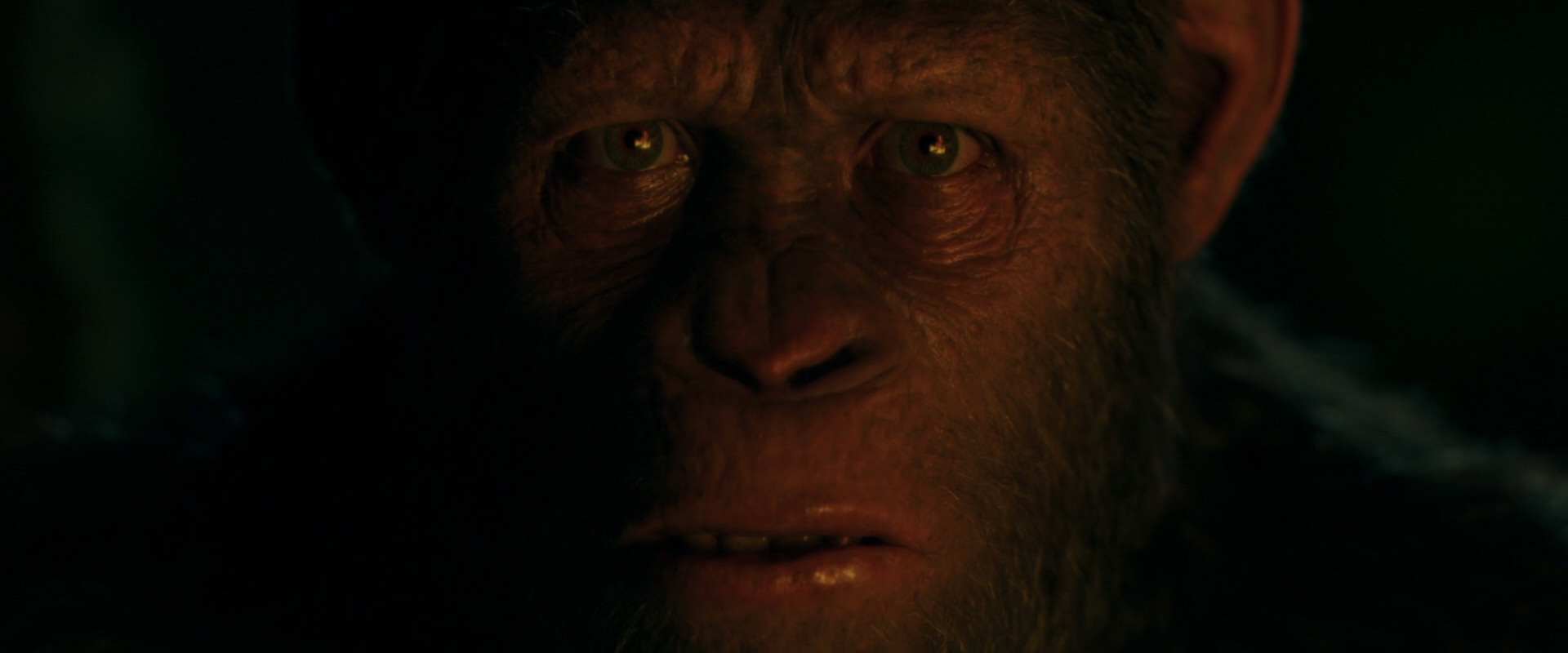 War for the Planet of the Apes (2017) screencap 4404