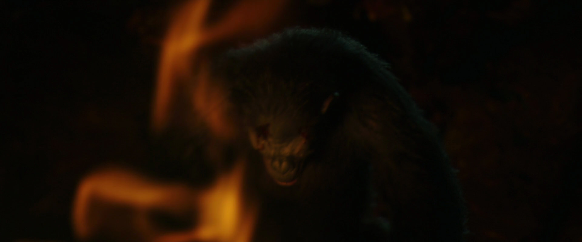 War for the Planet of the Apes (2017) movie still 4411
