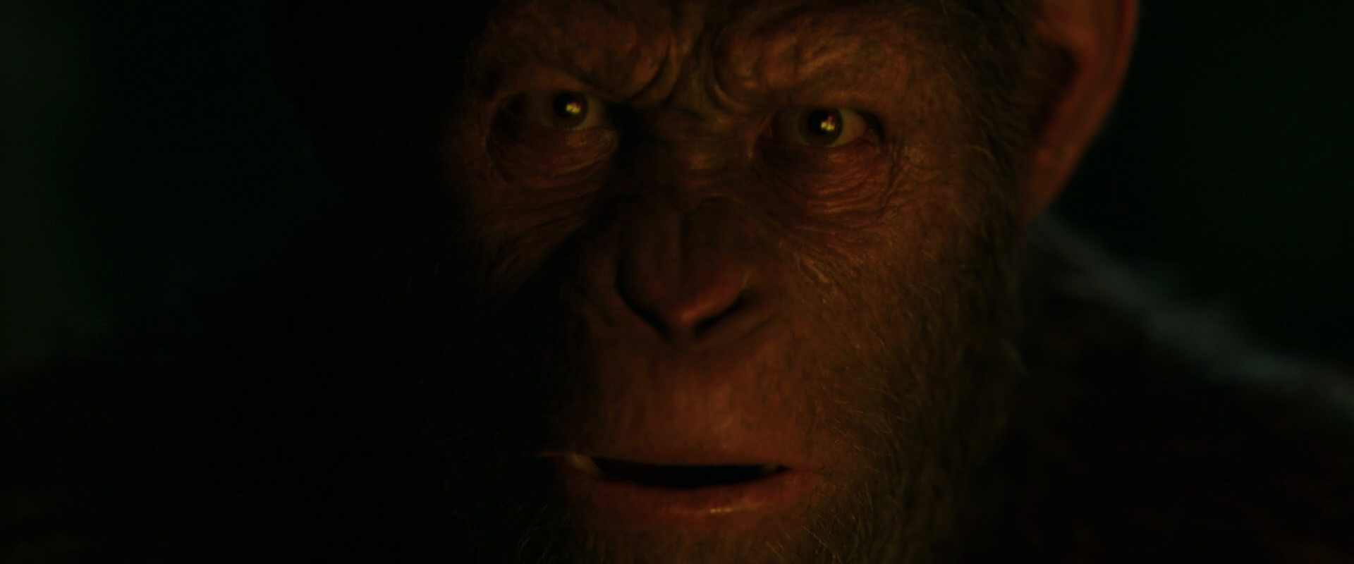 War for the Planet of the Apes (2017) screencap 4413