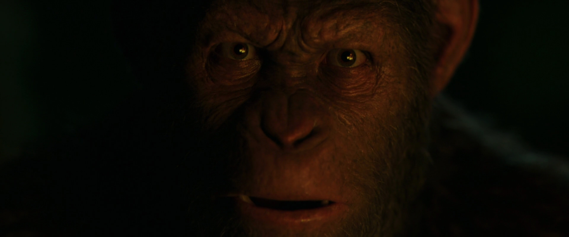 War for the Planet of the Apes (2017) movie still 4414