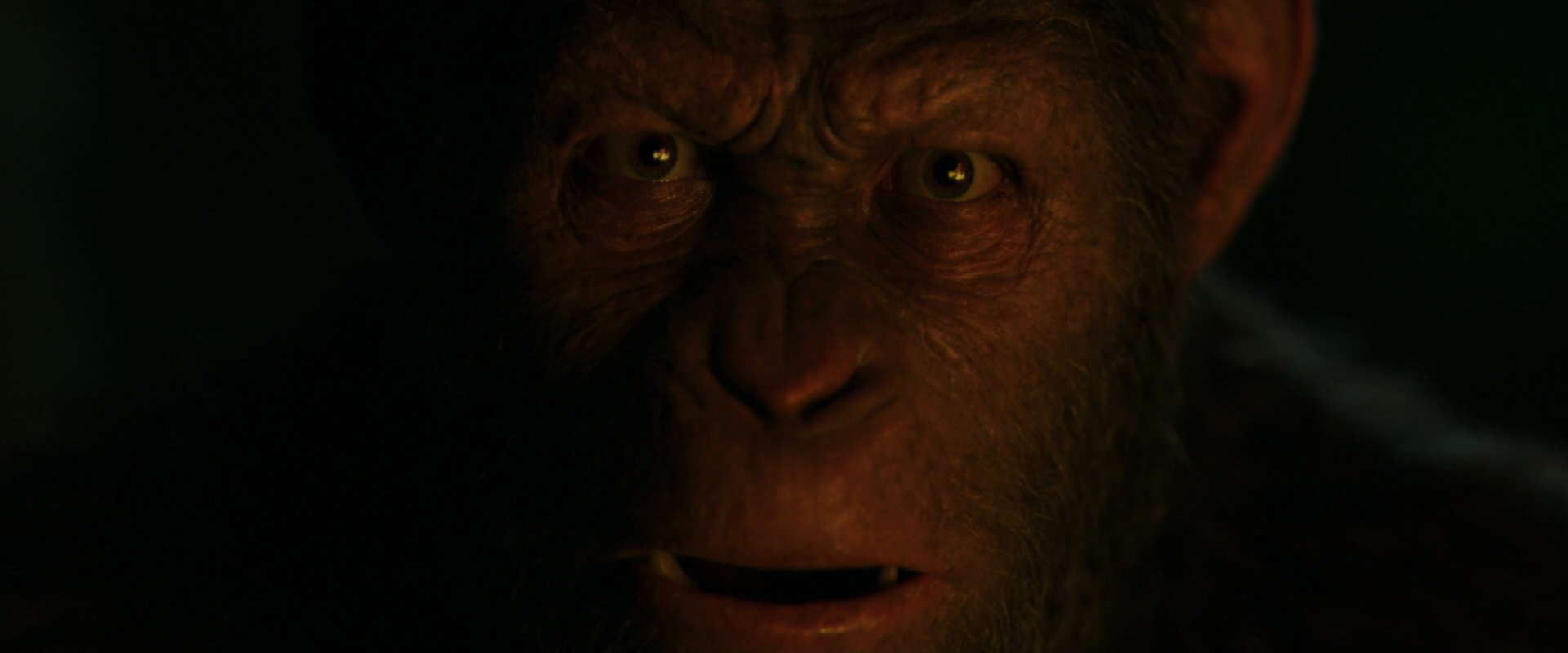 War for the Planet of the Apes (2017) HD screenshot 4415