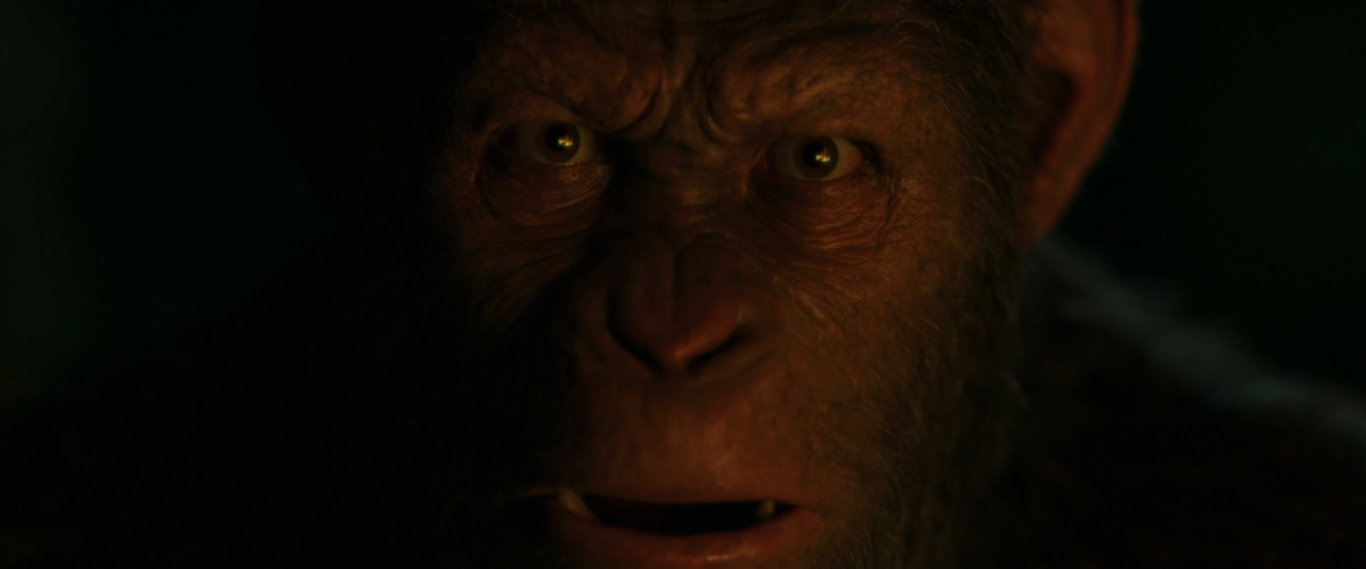 War for the Planet of the Apes (2017) screencap 4416