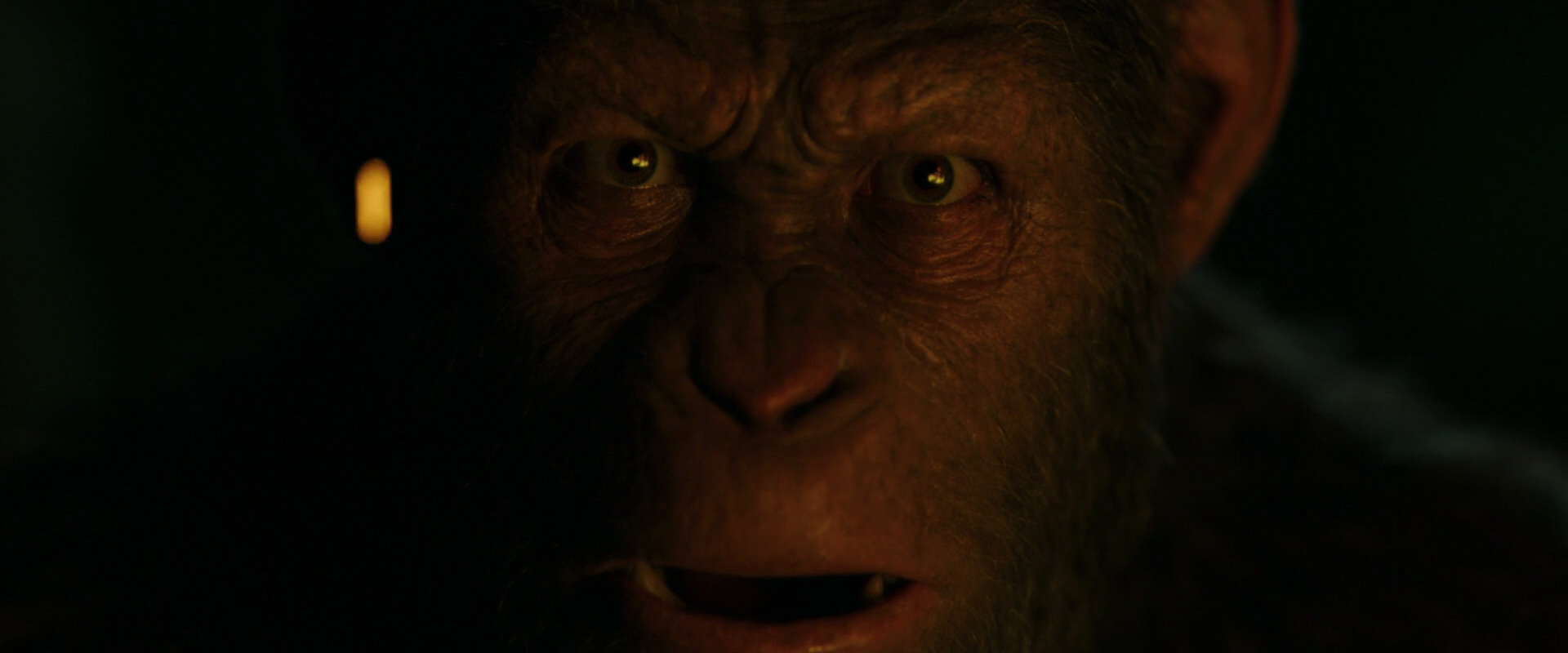 War for the Planet of the Apes (2017) movie still 4417