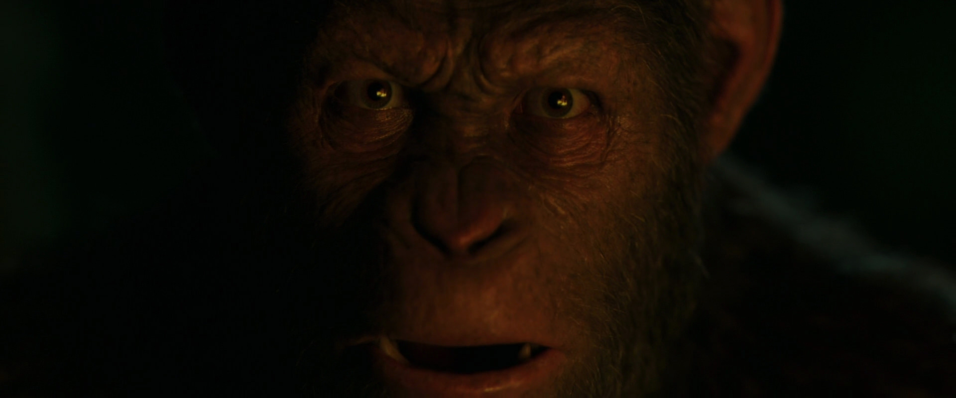 War for the Planet of the Apes (2017) HD screenshot 4418