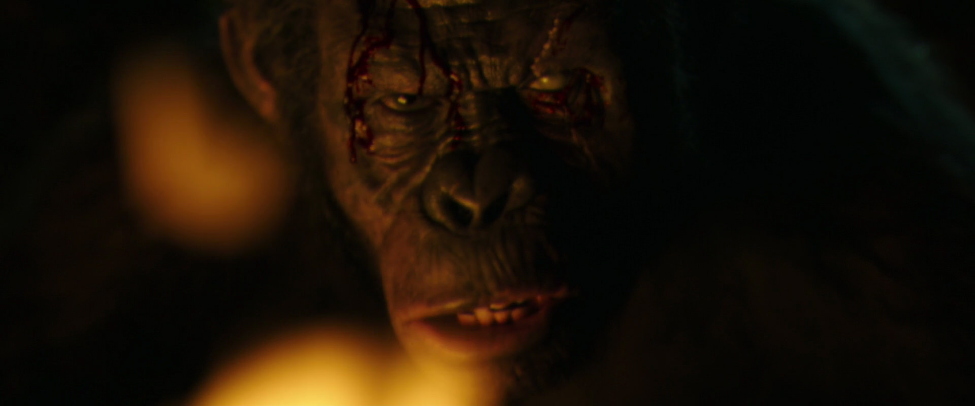 War for the Planet of the Apes (2017) movie still 4423
