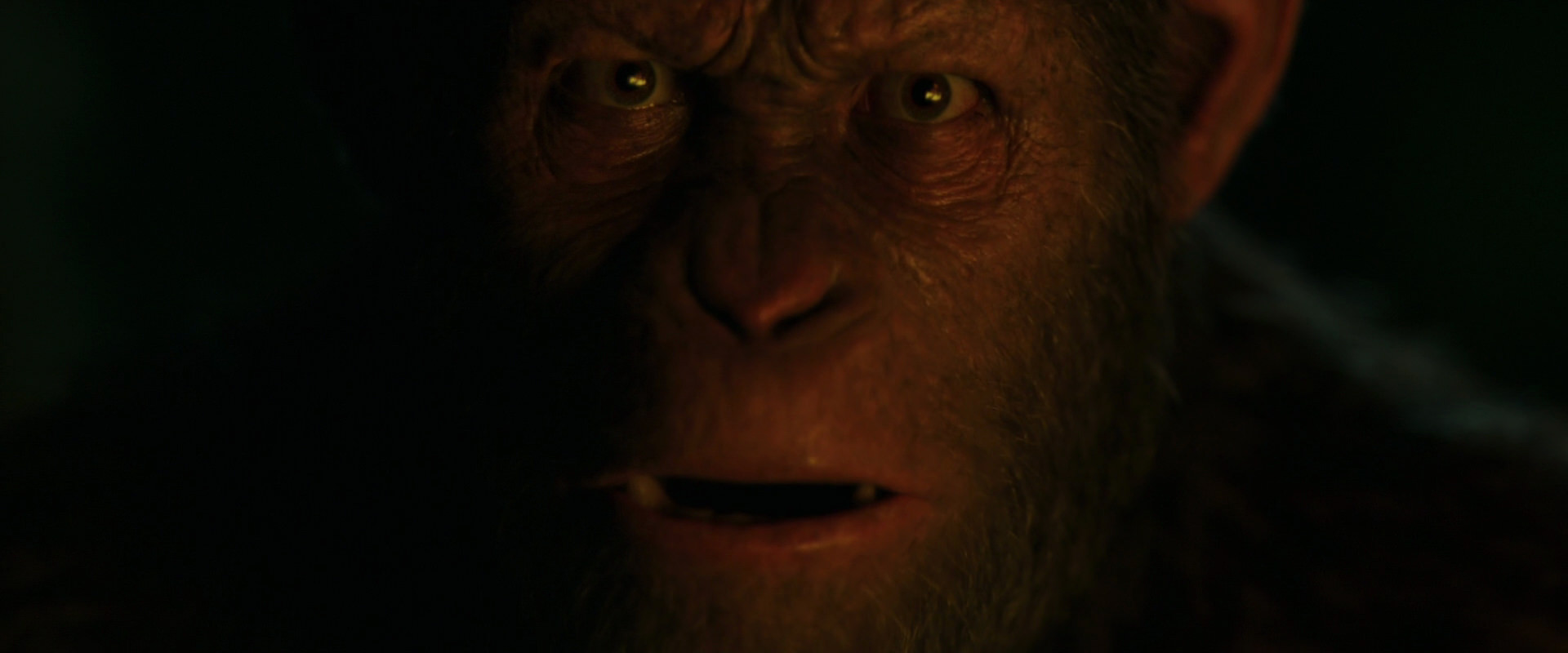 War for the Planet of the Apes (2017) screencap 4425