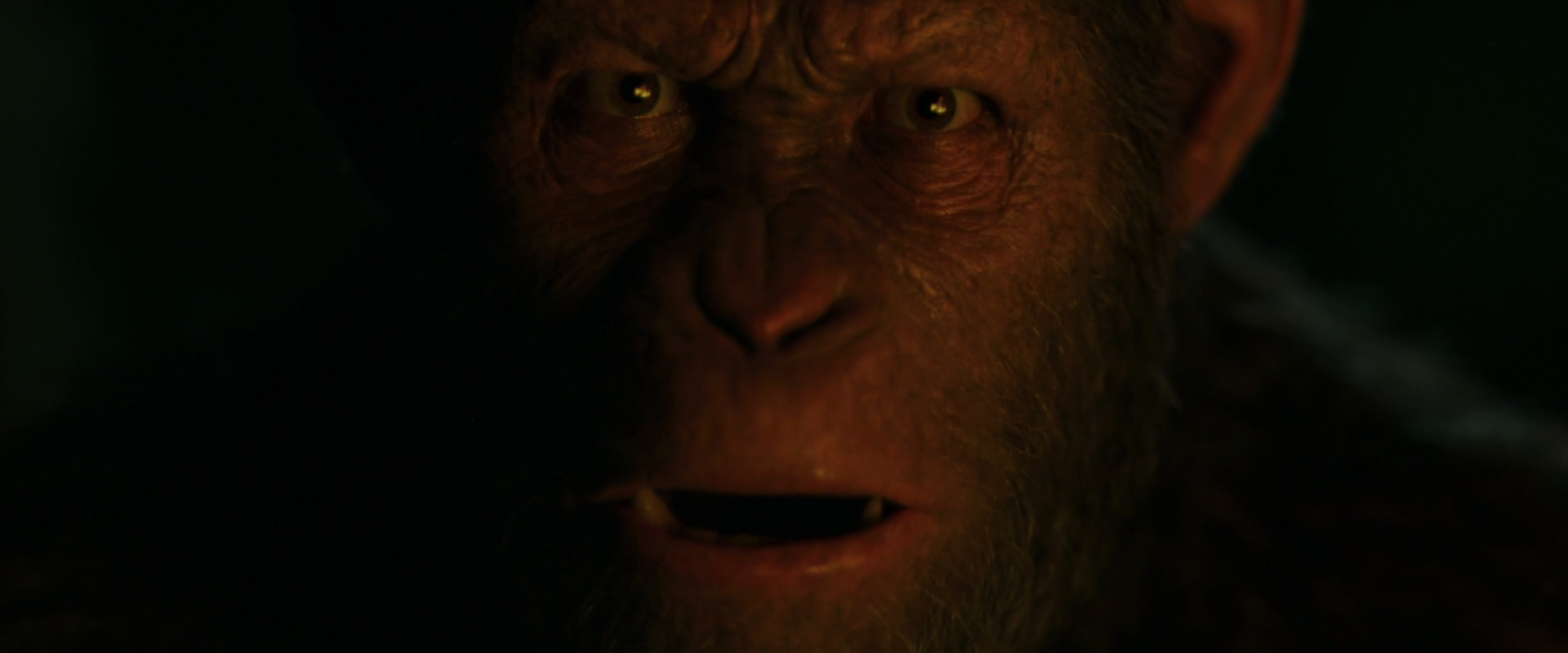 War for the Planet of the Apes (2017) movie still 4426