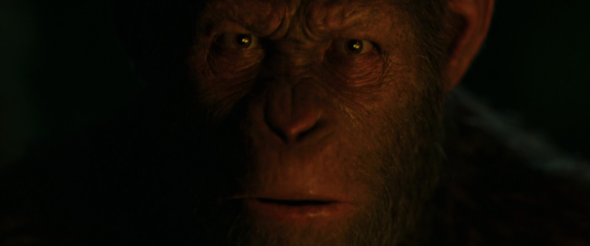 War for the Planet of the Apes (2017) HD screenshot 4427