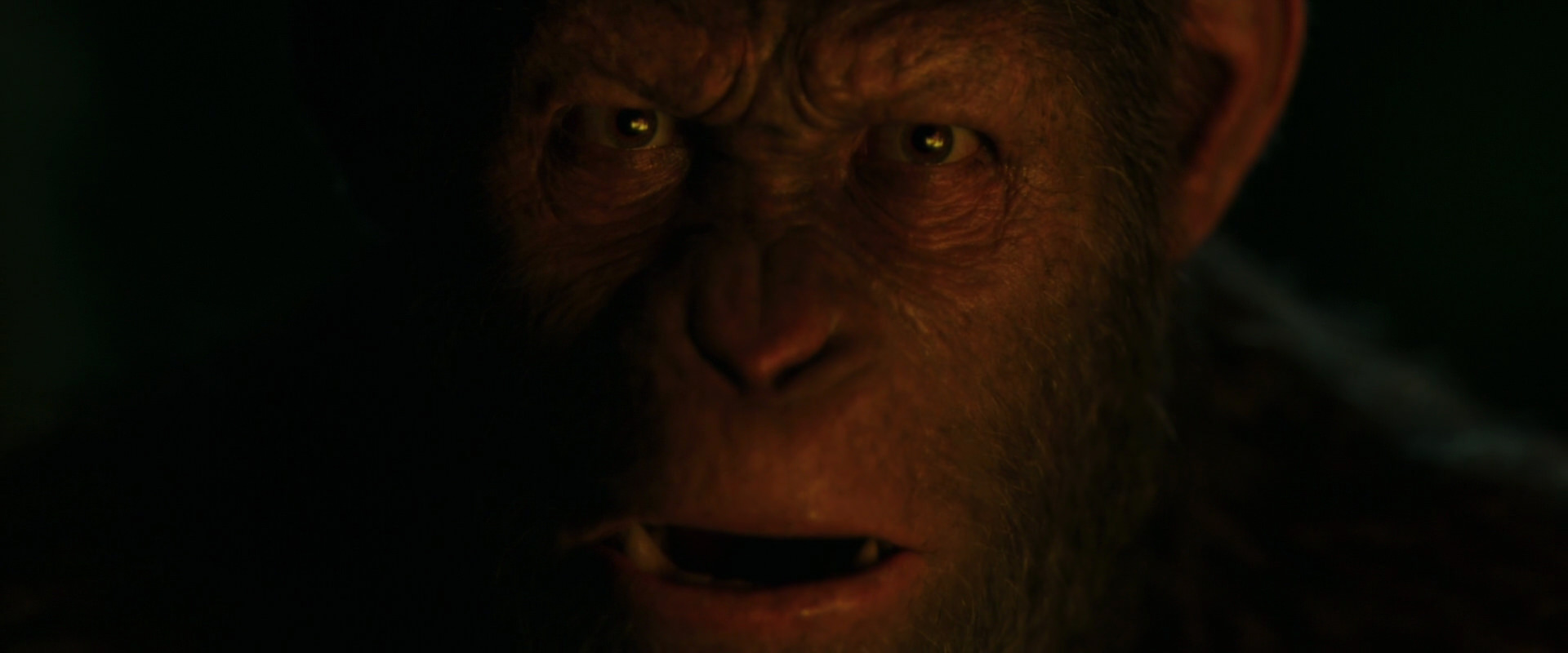 War for the Planet of the Apes (2017) movie still 4429