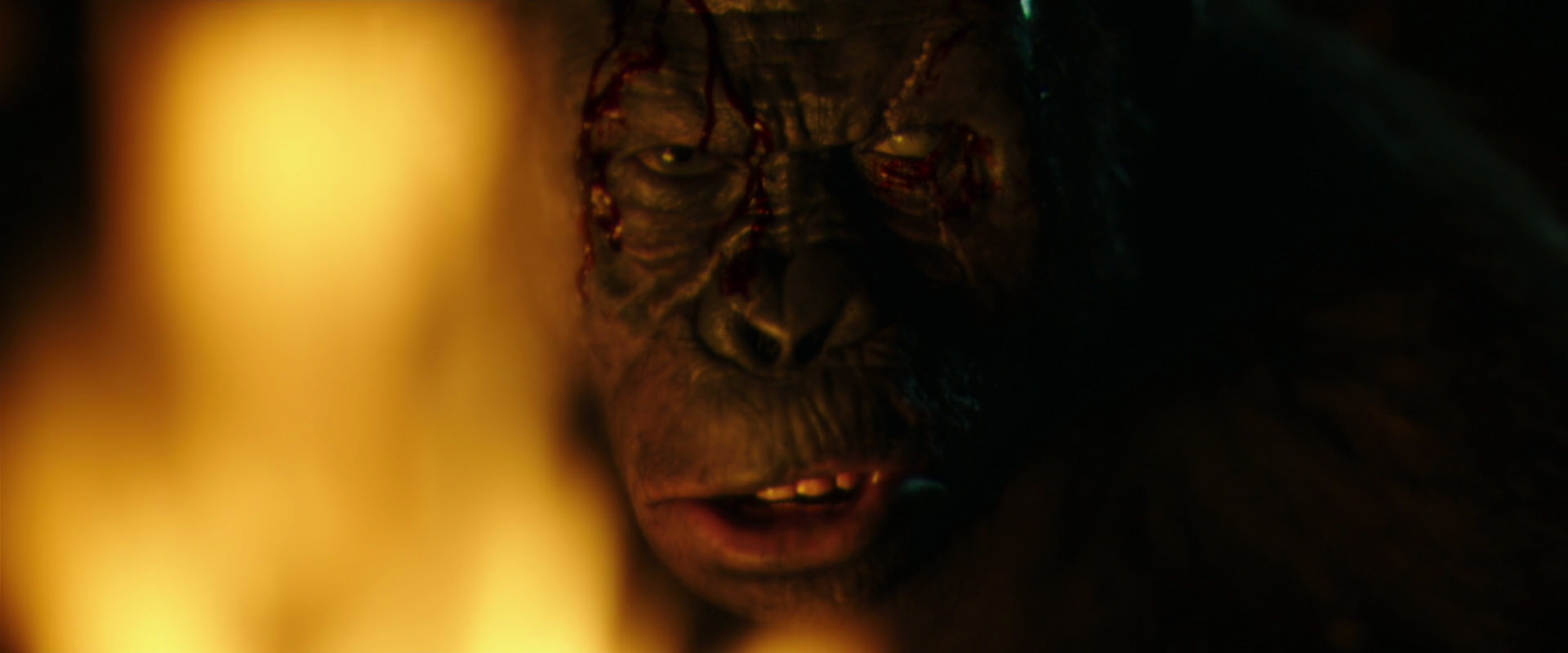 War for the Planet of the Apes (2017) movie still 4432