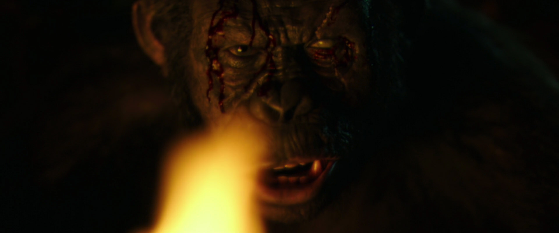 War for the Planet of the Apes (2017) screencap 4443