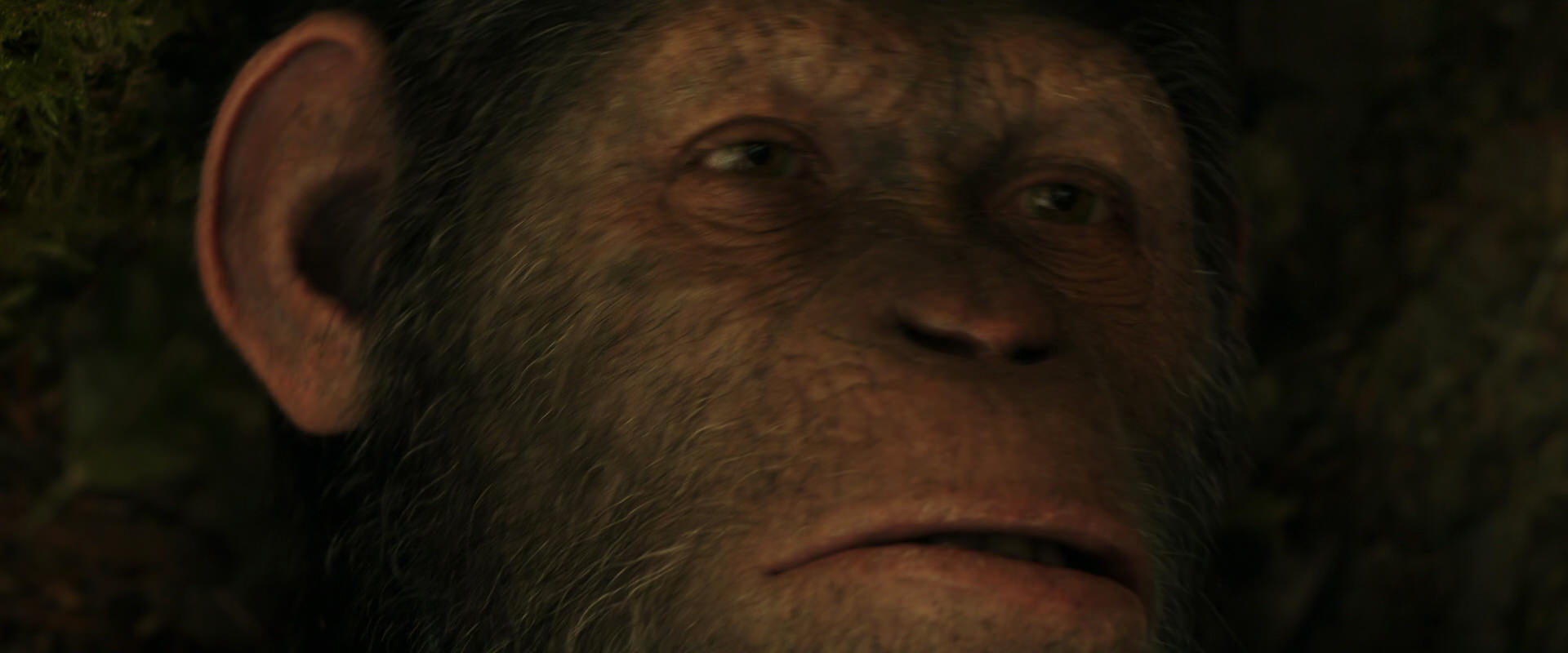 War for the Planet of the Apes (2017) movie still 4444
