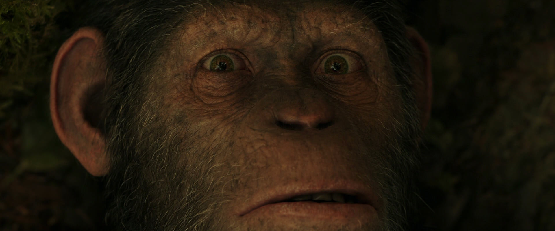 War for the Planet of the Apes (2017) HD screenshot 4445