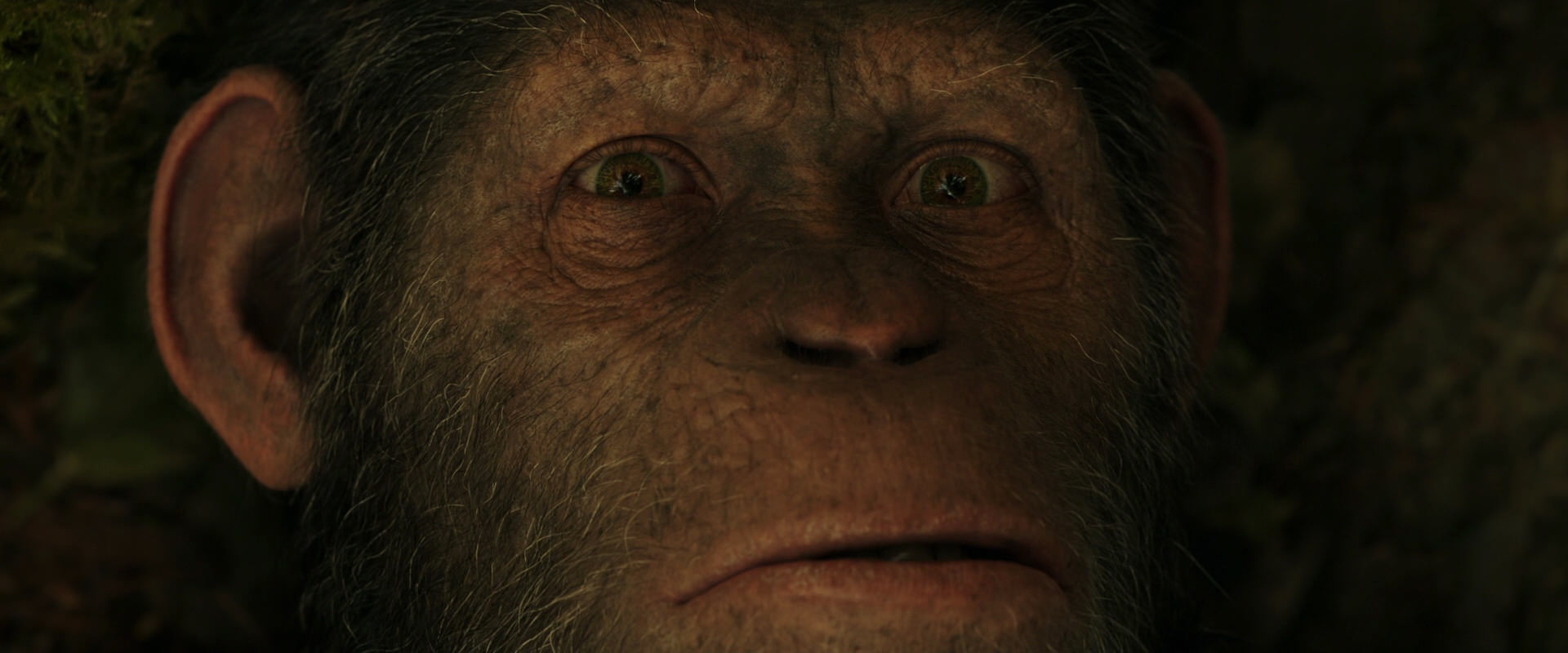 War for the Planet of the Apes (2017) screencap 4446