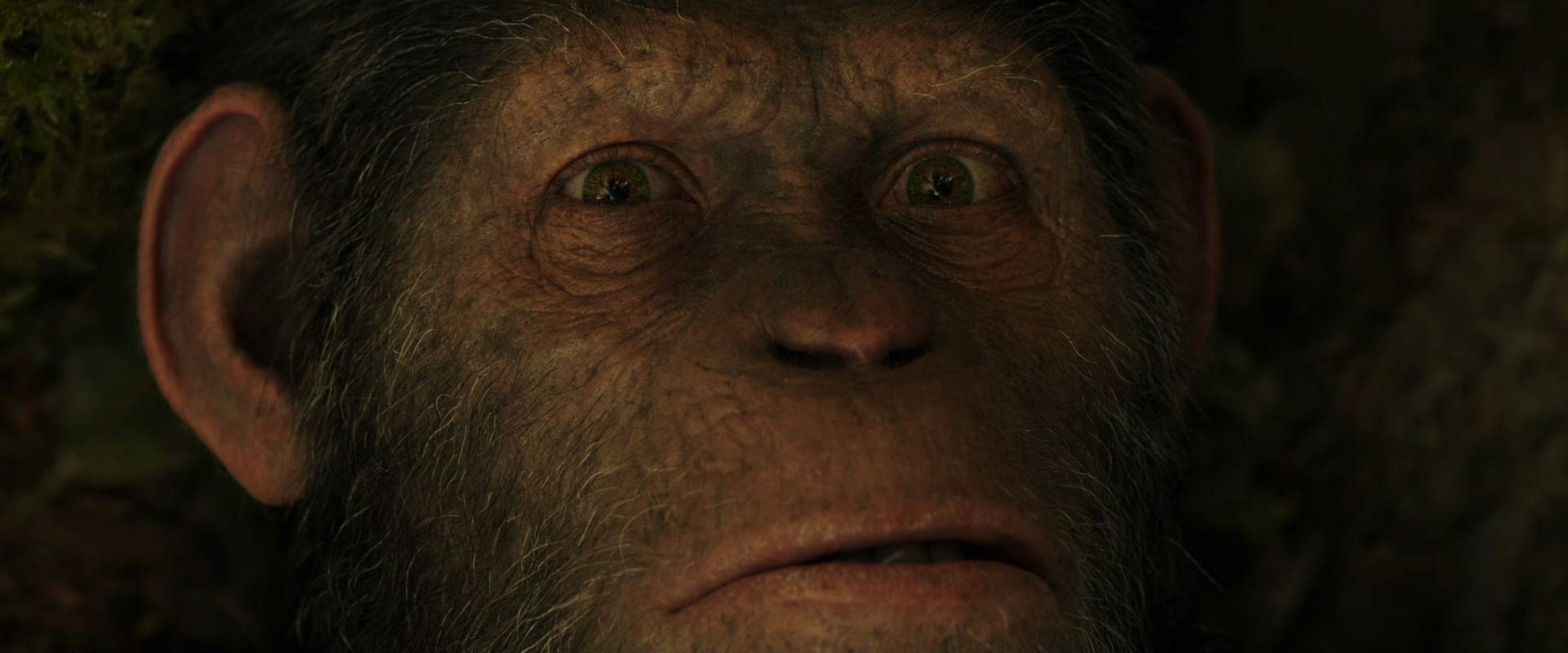 War for the Planet of the Apes (2017) movie still 4447
