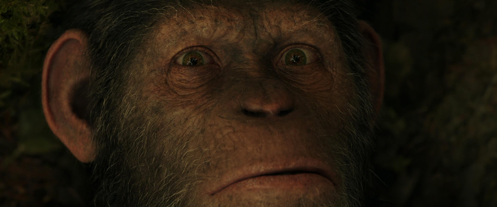 War for the Planet of the Apes (2017) HD screenshot 4448