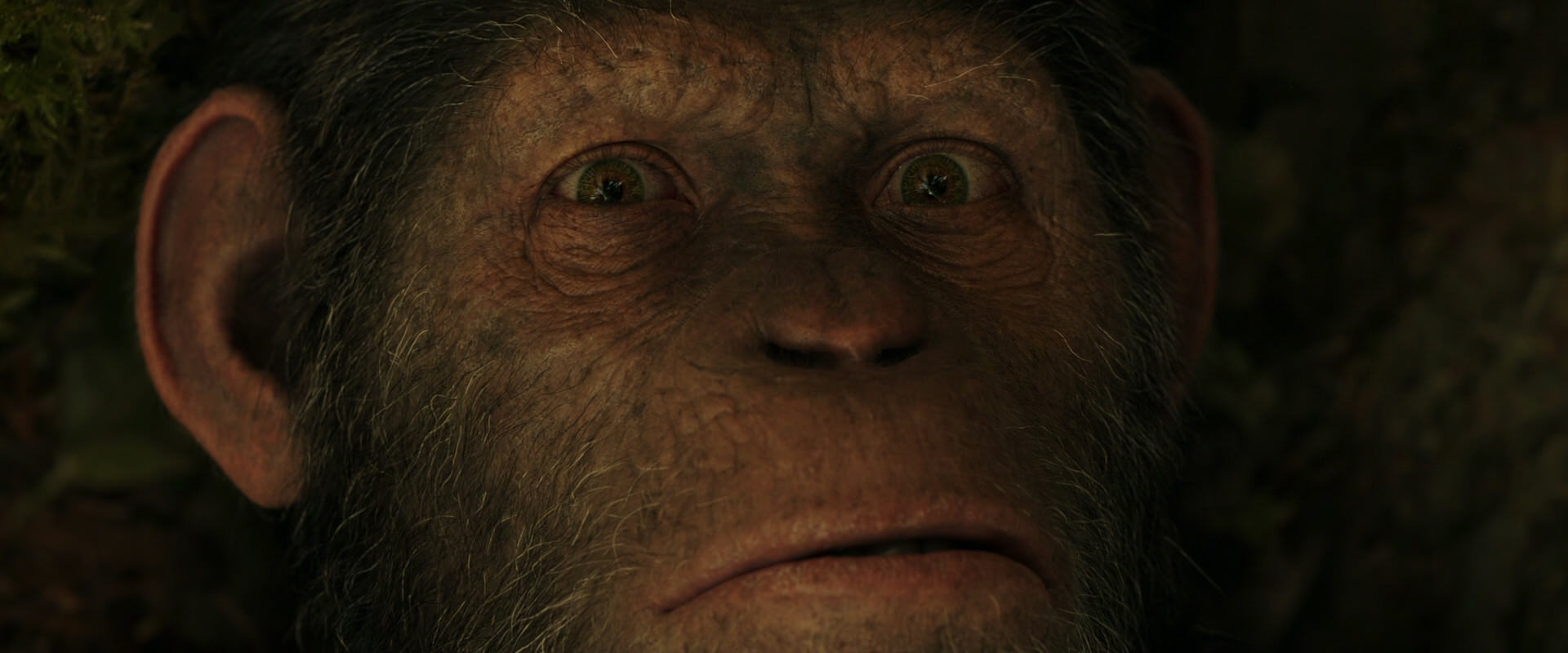 War for the Planet of the Apes (2017) screencap 4449