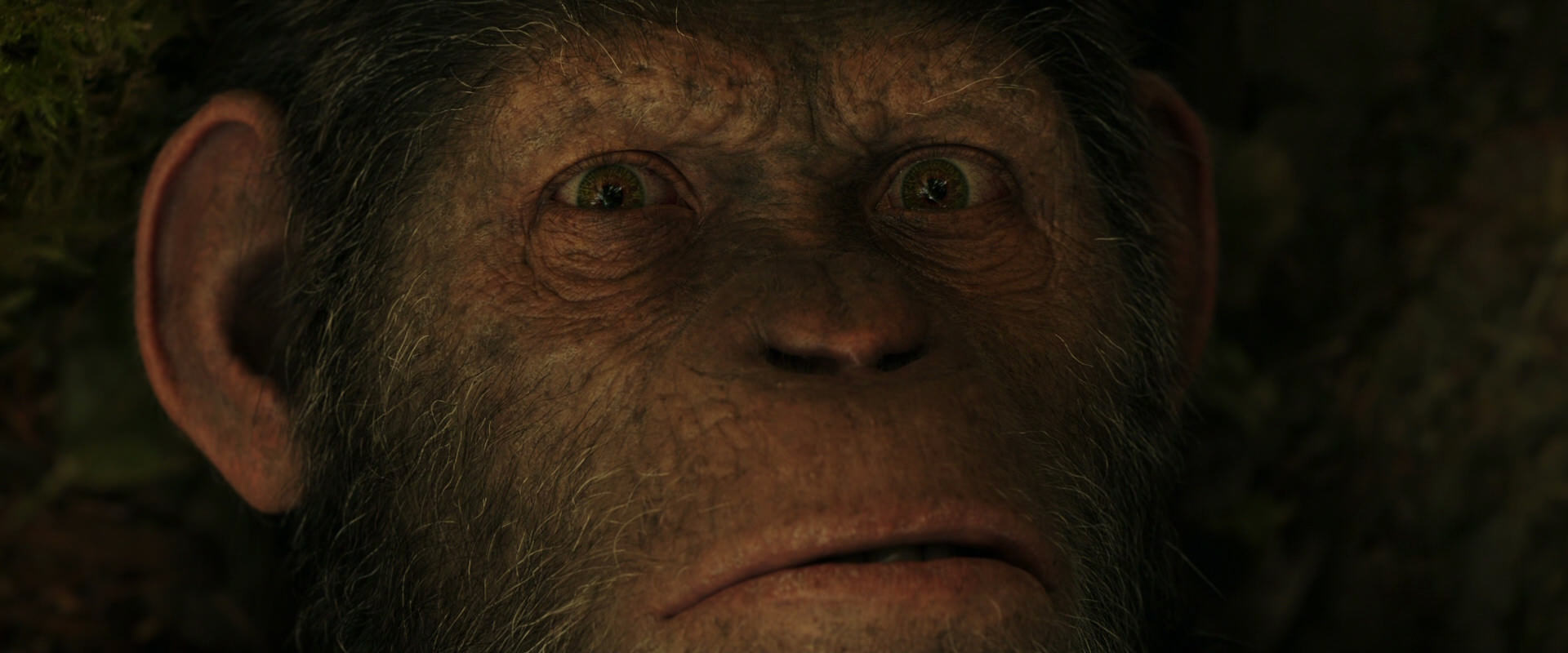 War for the Planet of the Apes (2017) movie still 4450