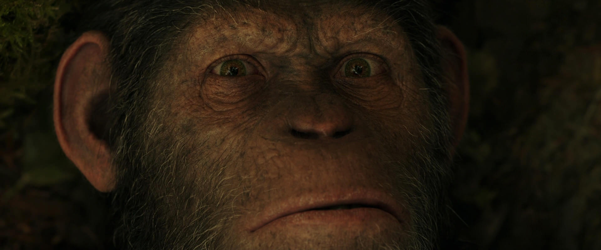 War for the Planet of the Apes (2017) HD screenshot 4451