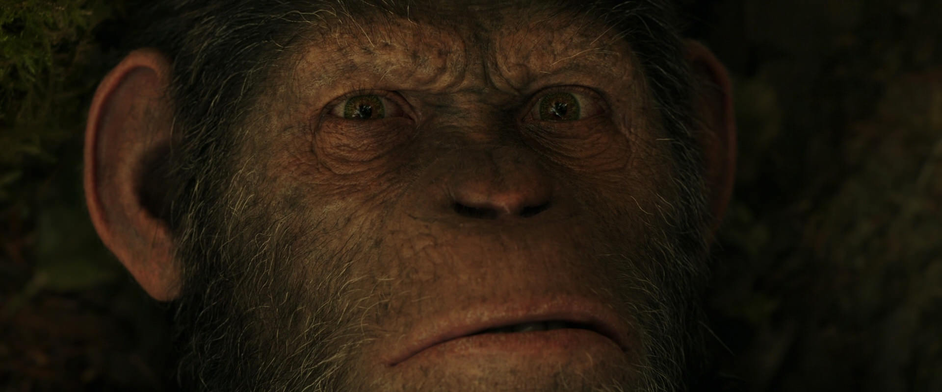War for the Planet of the Apes (2017) screencap 4452