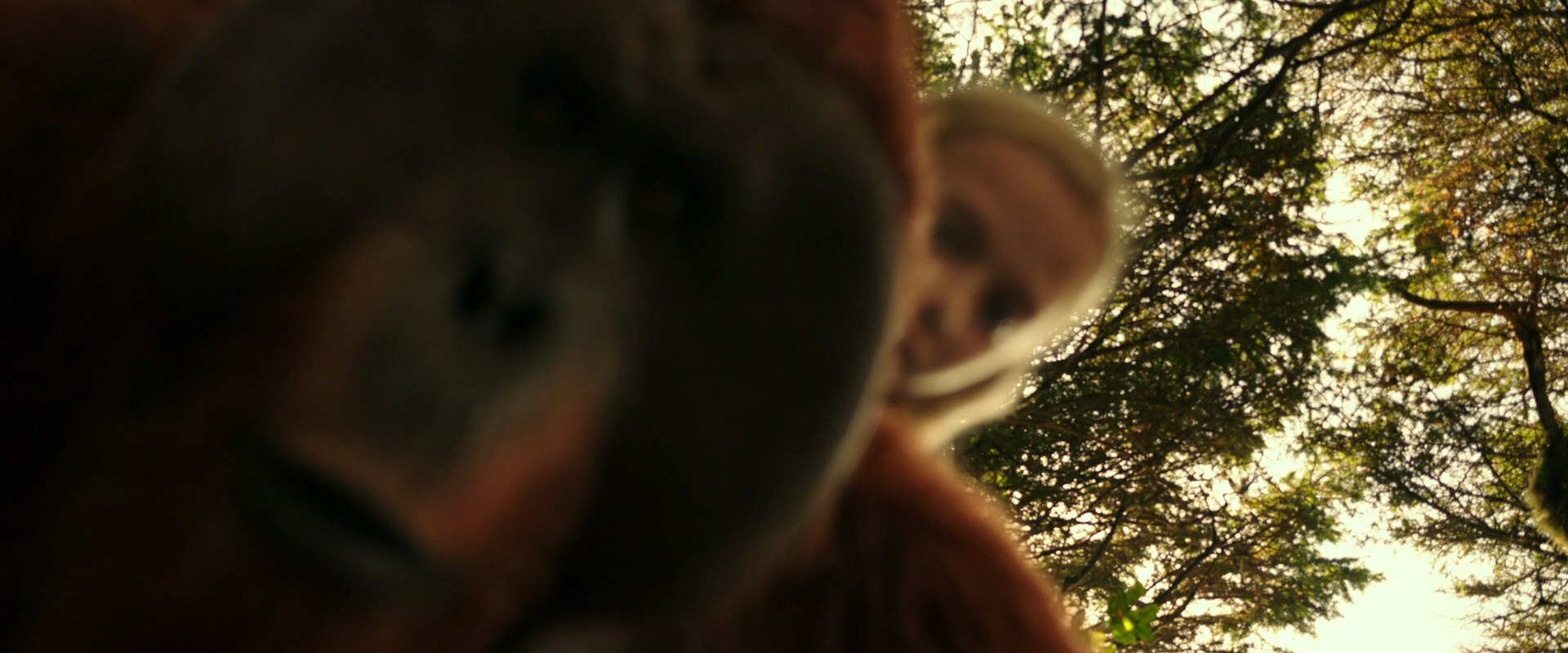 War for the Planet of the Apes (2017) movie still 4453