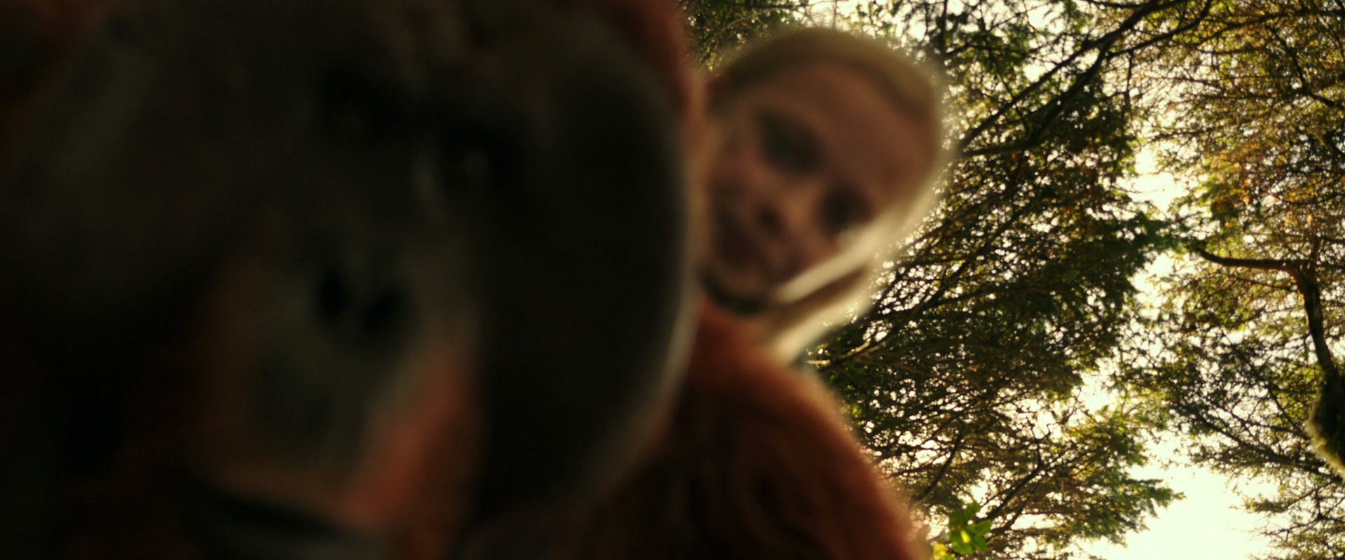 War for the Planet of the Apes (2017) screencap 4455
