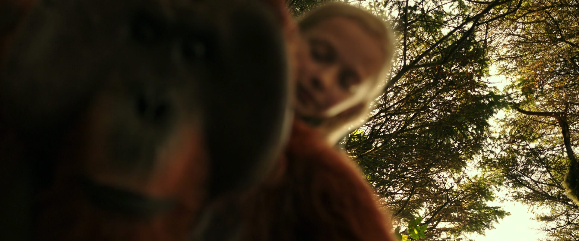 War for the Planet of the Apes (2017) movie still 4456