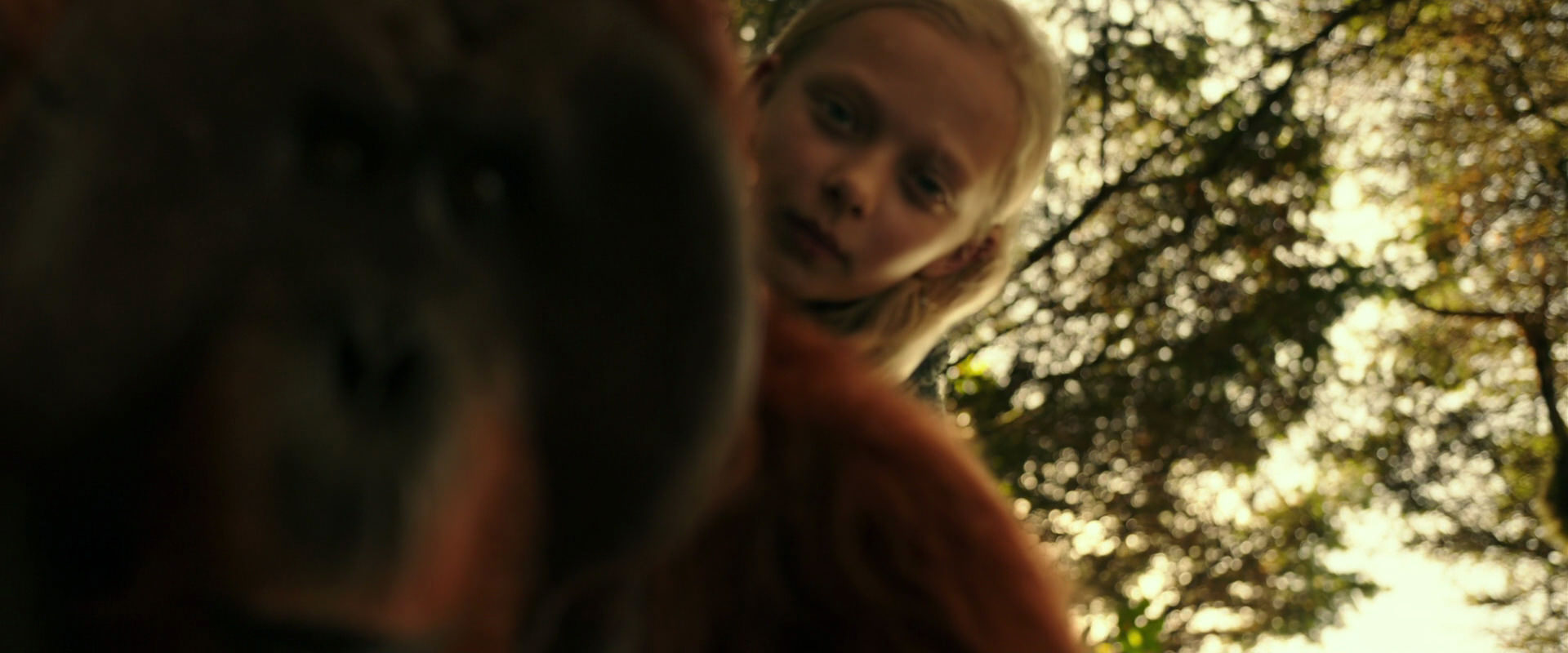 War for the Planet of the Apes (2017) screencap 4458