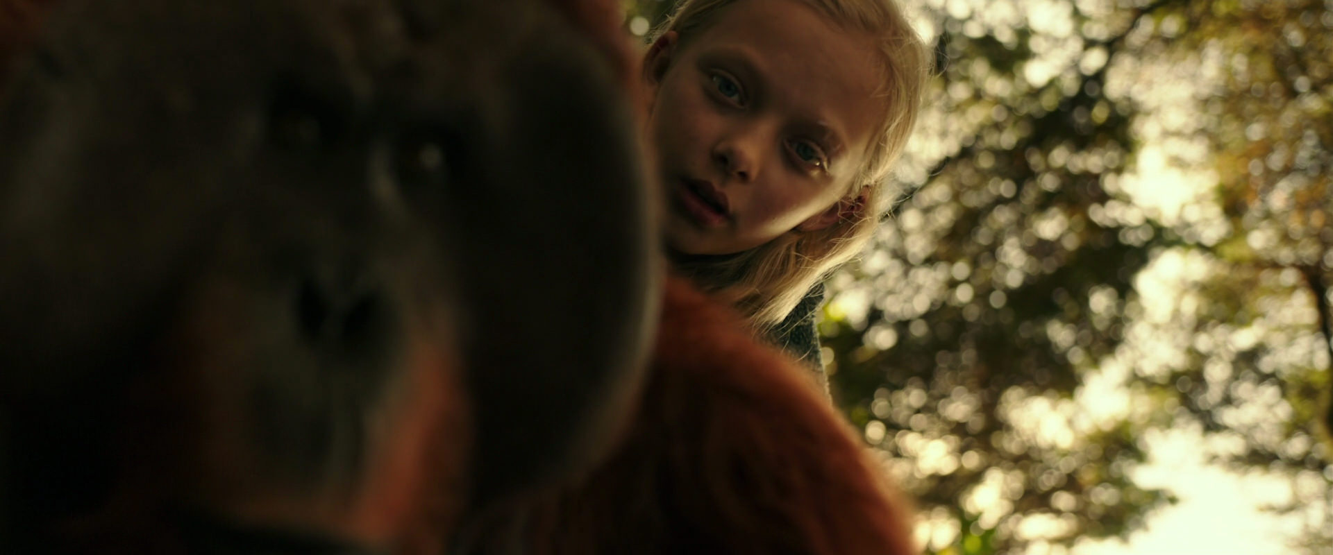 War for the Planet of the Apes (2017) movie still 4459