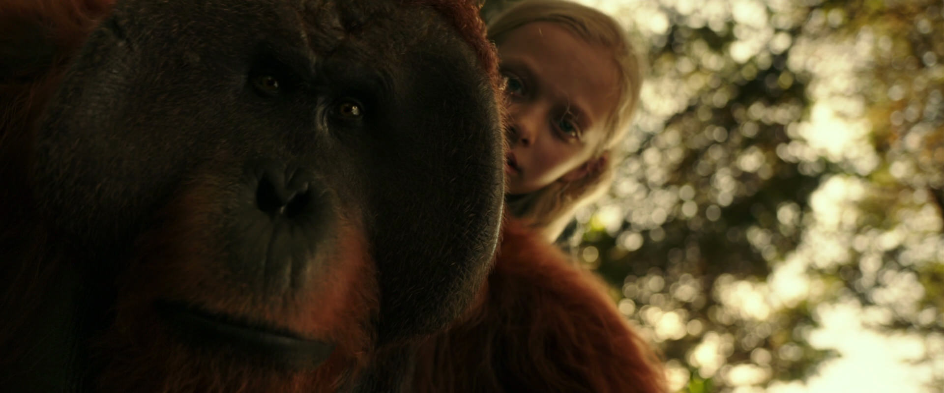 War for the Planet of the Apes (2017) screencap 4461