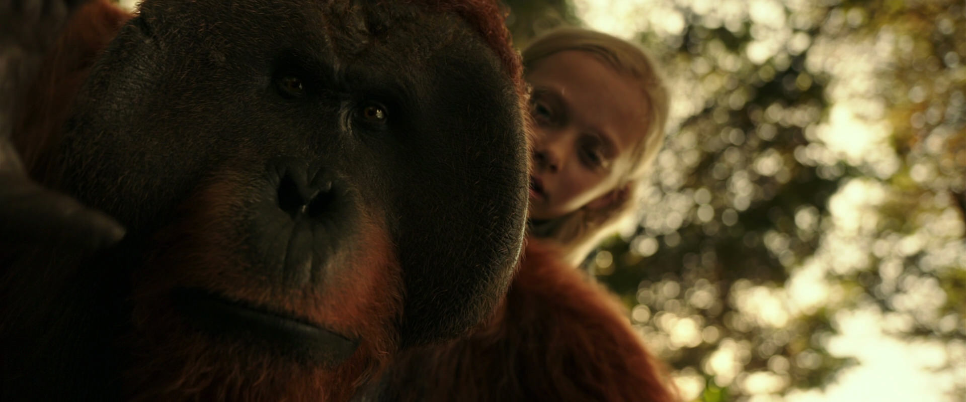 War for the Planet of the Apes (2017) movie still 4462