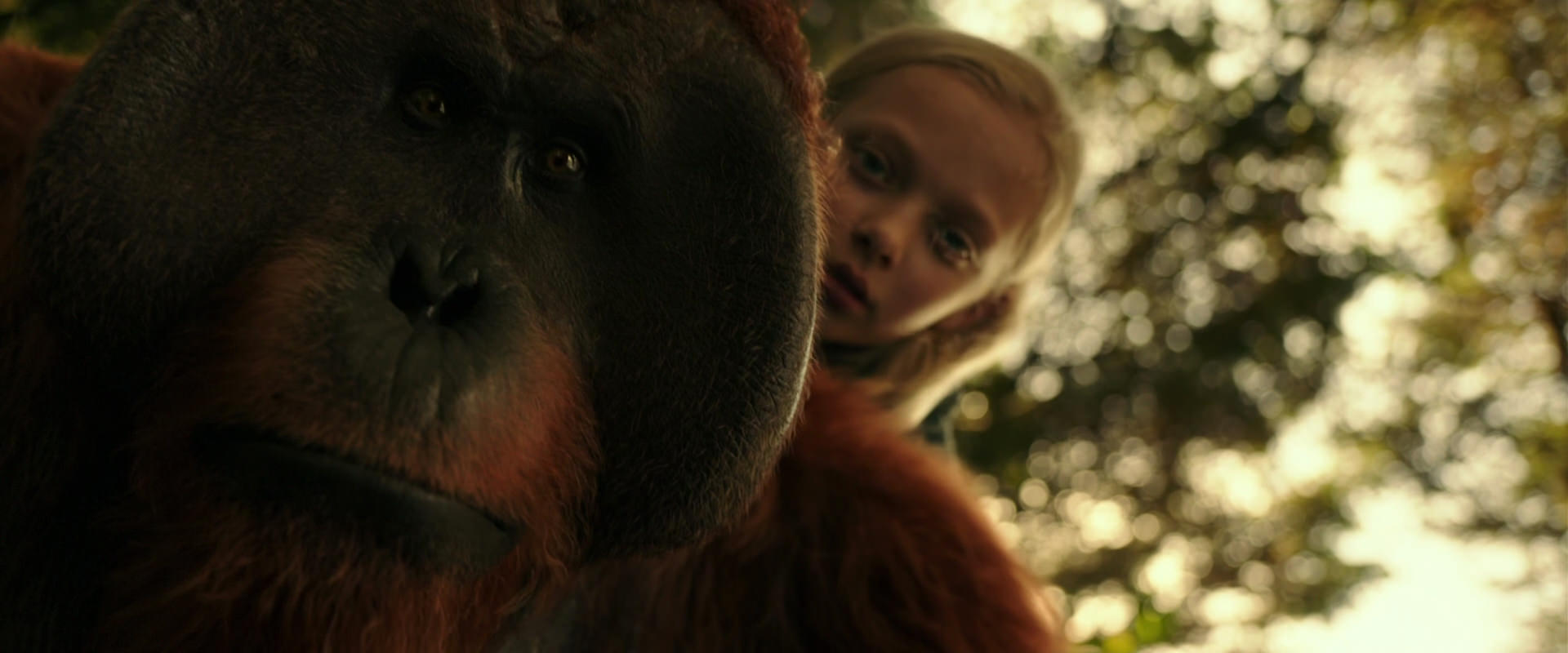 War for the Planet of the Apes (2017) screencap 4464