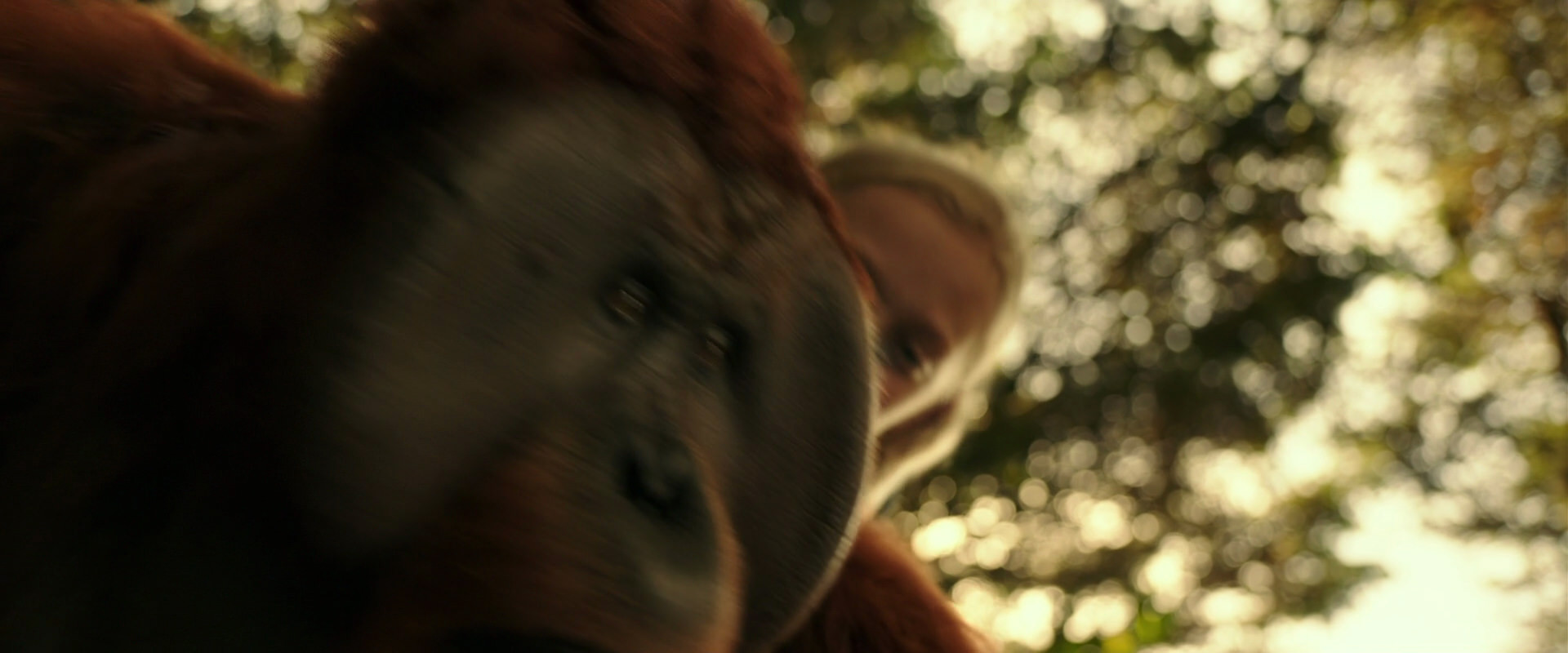 War for the Planet of the Apes (2017) movie still 4465