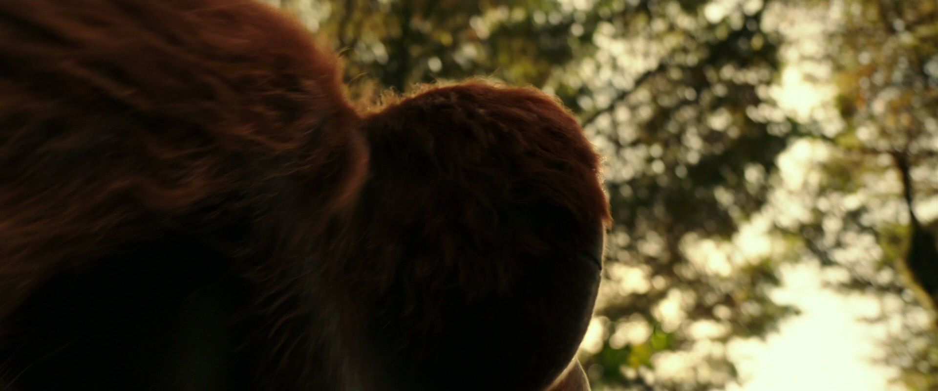 War for the Planet of the Apes (2017) HD screenshot 4466