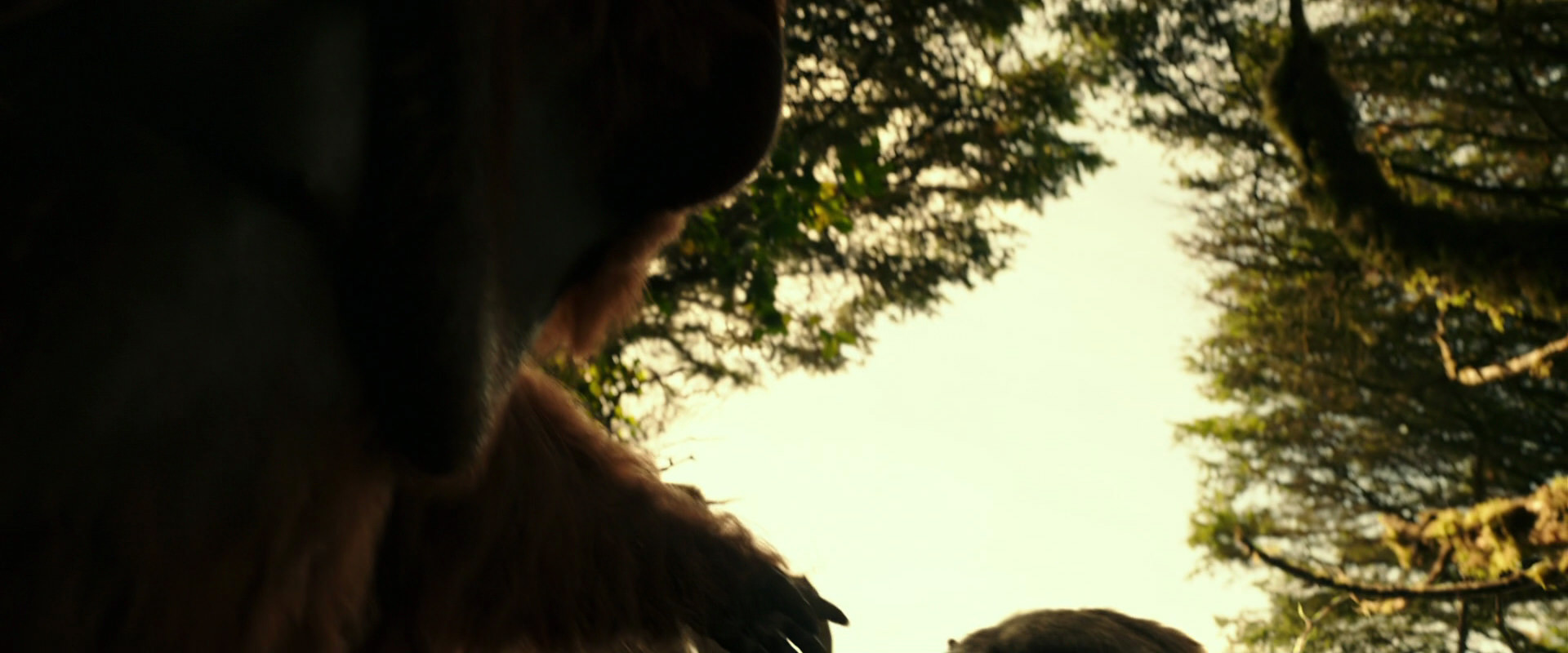 War for the Planet of the Apes (2017) movie still 4468
