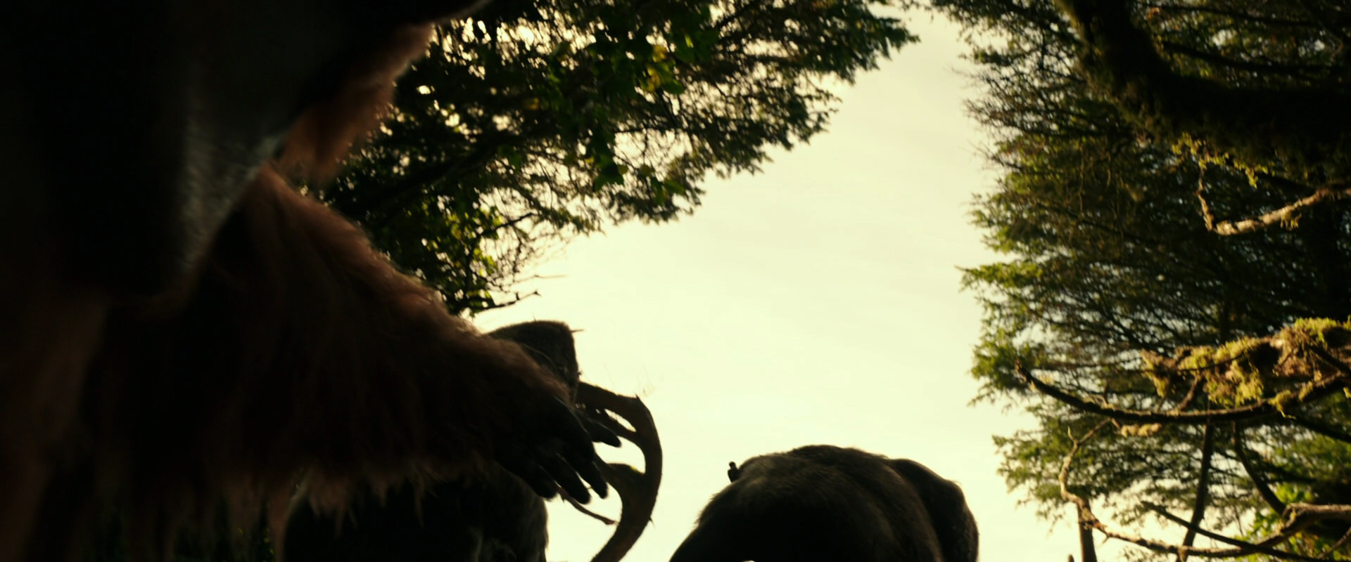 War for the Planet of the Apes (2017) HD screenshot 4469