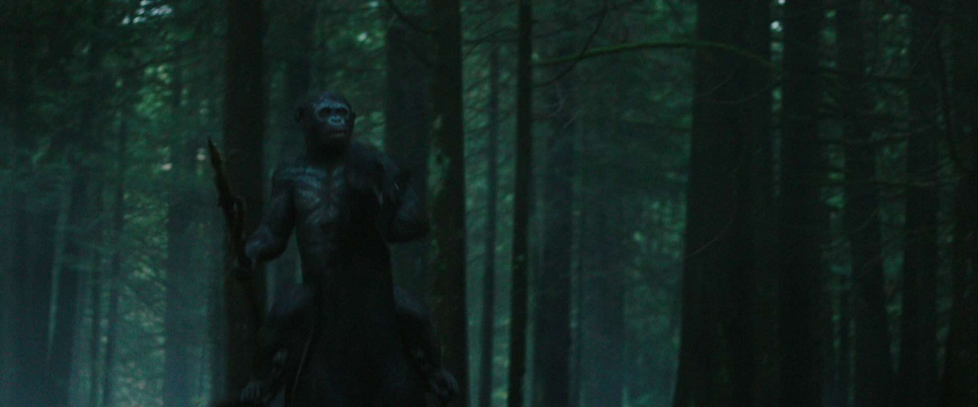 War for the Planet of the Apes (2017) screencap 447