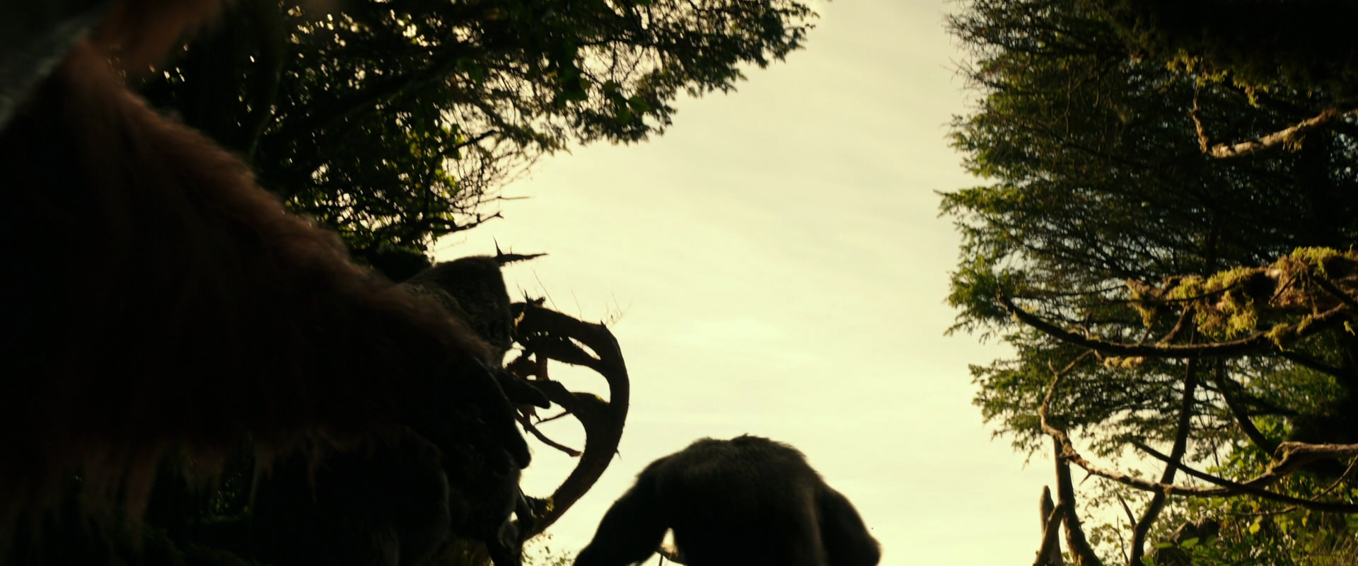 War for the Planet of the Apes (2017) screencap 4470