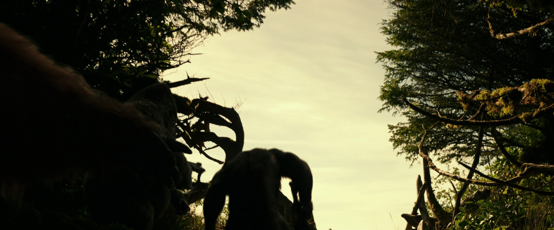 War for the Planet of the Apes (2017) movie still 4471