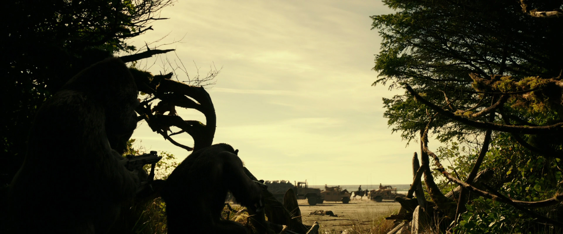 War for the Planet of the Apes (2017) movie still 4474