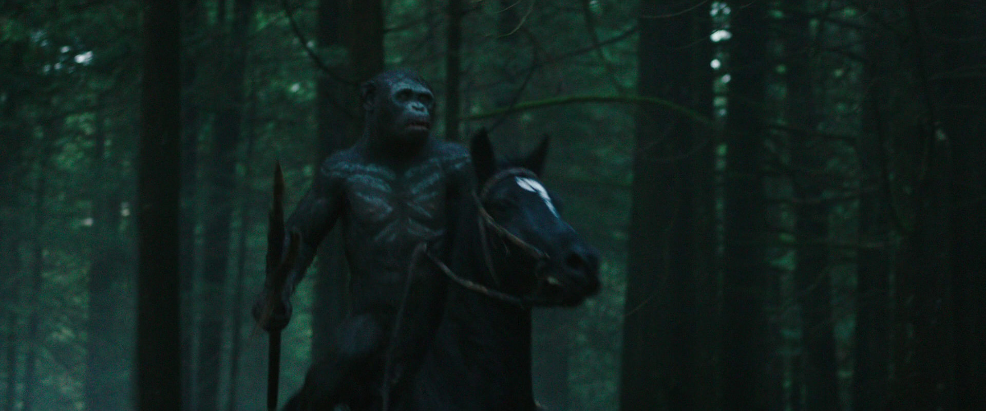 War for the Planet of the Apes (2017) movie still 448