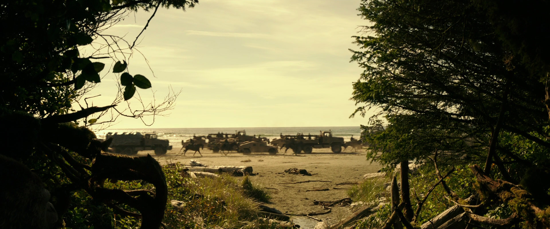 War for the Planet of the Apes (2017) screencap 4485