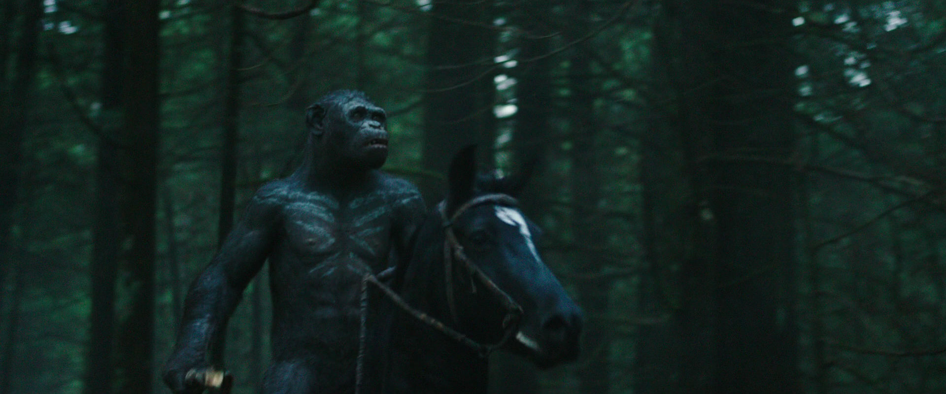 War for the Planet of the Apes (2017) HD screenshot 449