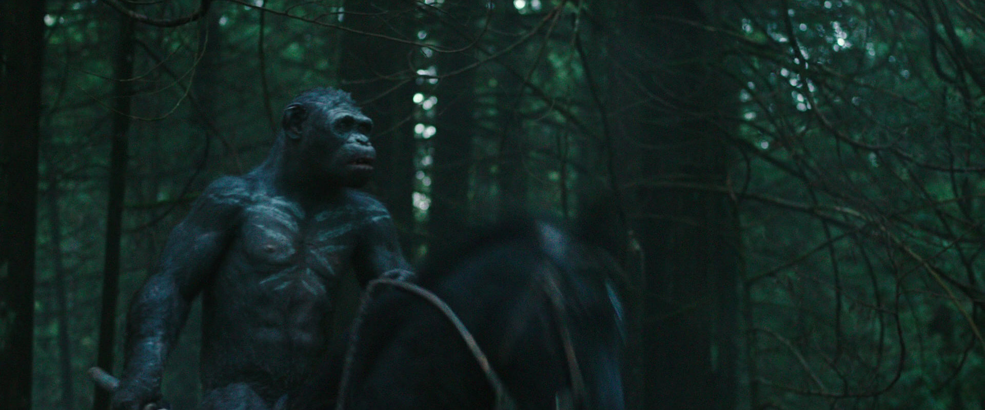 War for the Planet of the Apes (2017) screencap 450