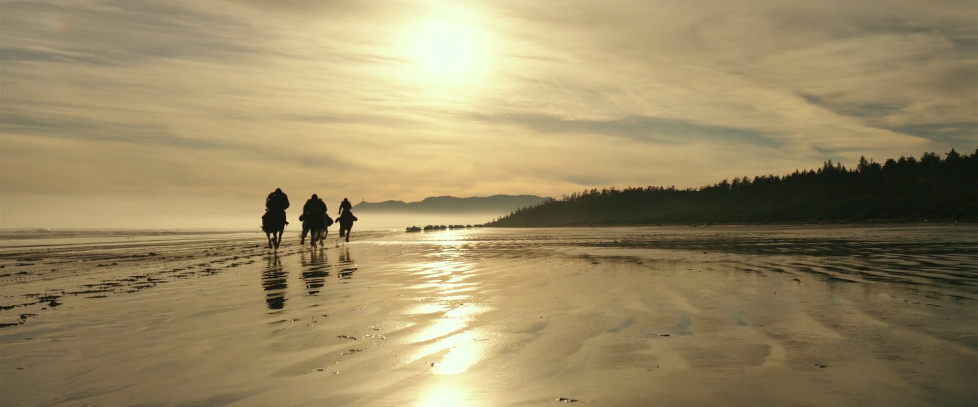 War for the Planet of the Apes (2017) screencap 4500