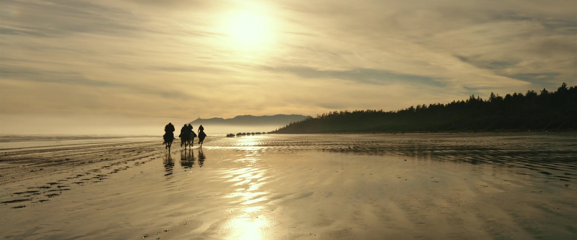 War for the Planet of the Apes (2017) screencap 4503